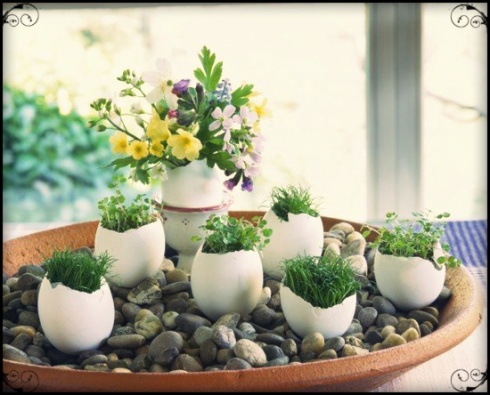 eggshell pots herbs